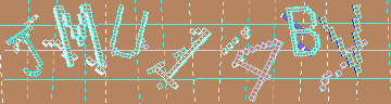 CAPTCHA 認証コード
